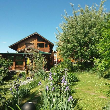 Casa Natalia Hotel Braşov Exterior foto