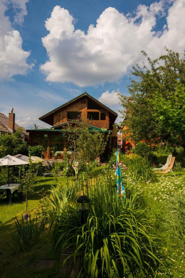 Casa Natalia Hotel Braşov Exterior foto