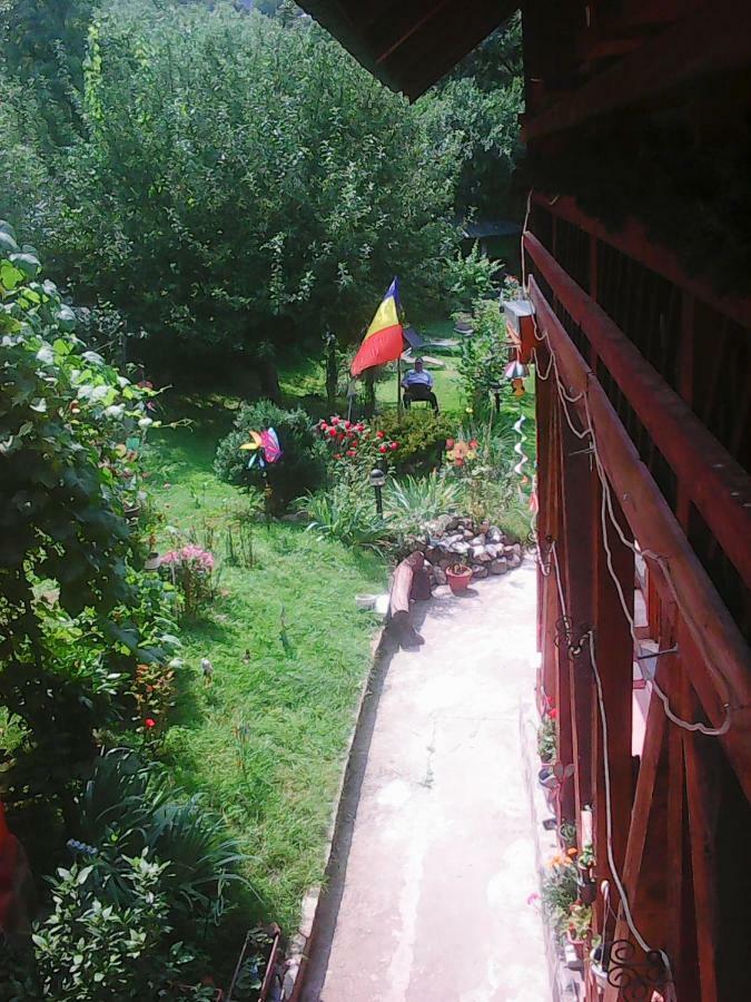 Casa Natalia Hotel Braşov Exterior foto