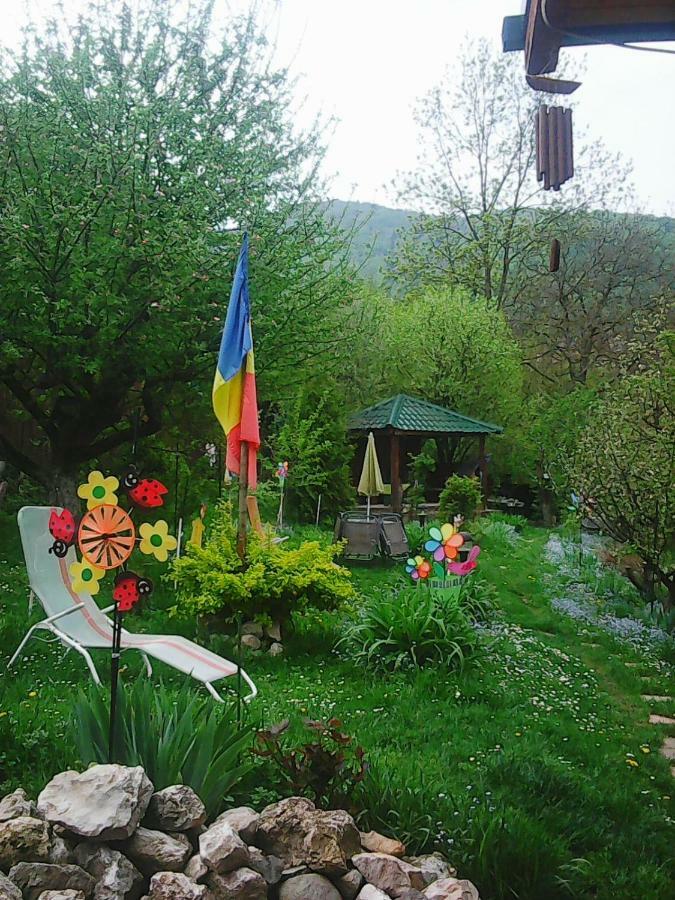 Casa Natalia Hotel Braşov Exterior foto