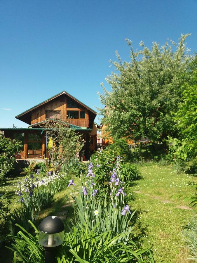Casa Natalia Hotel Braşov Exterior foto